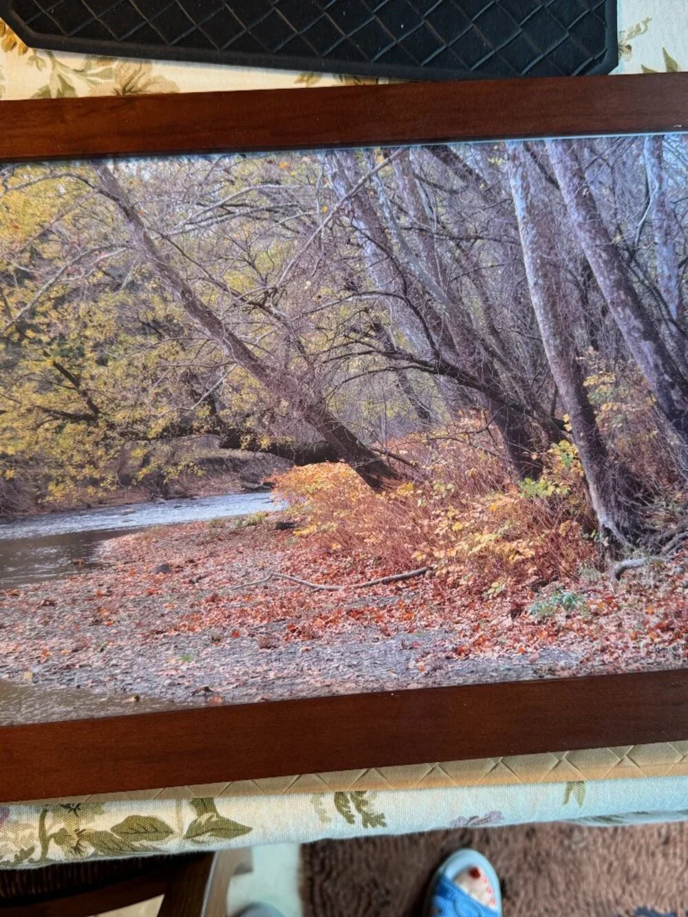 Colorful Fall Landscape Photograph Framed 19